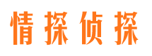 法库外遇出轨调查取证